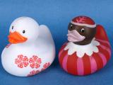 snowflake duck