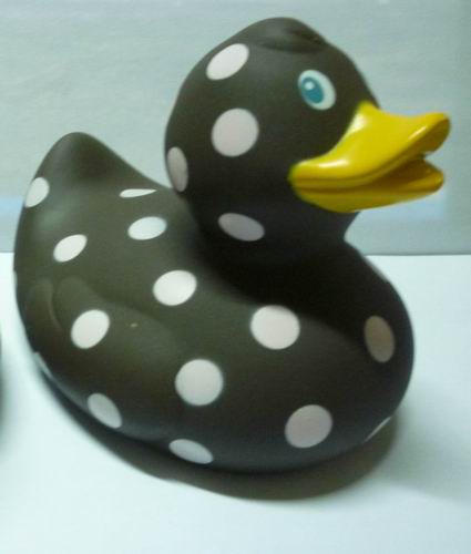 Black dot duck