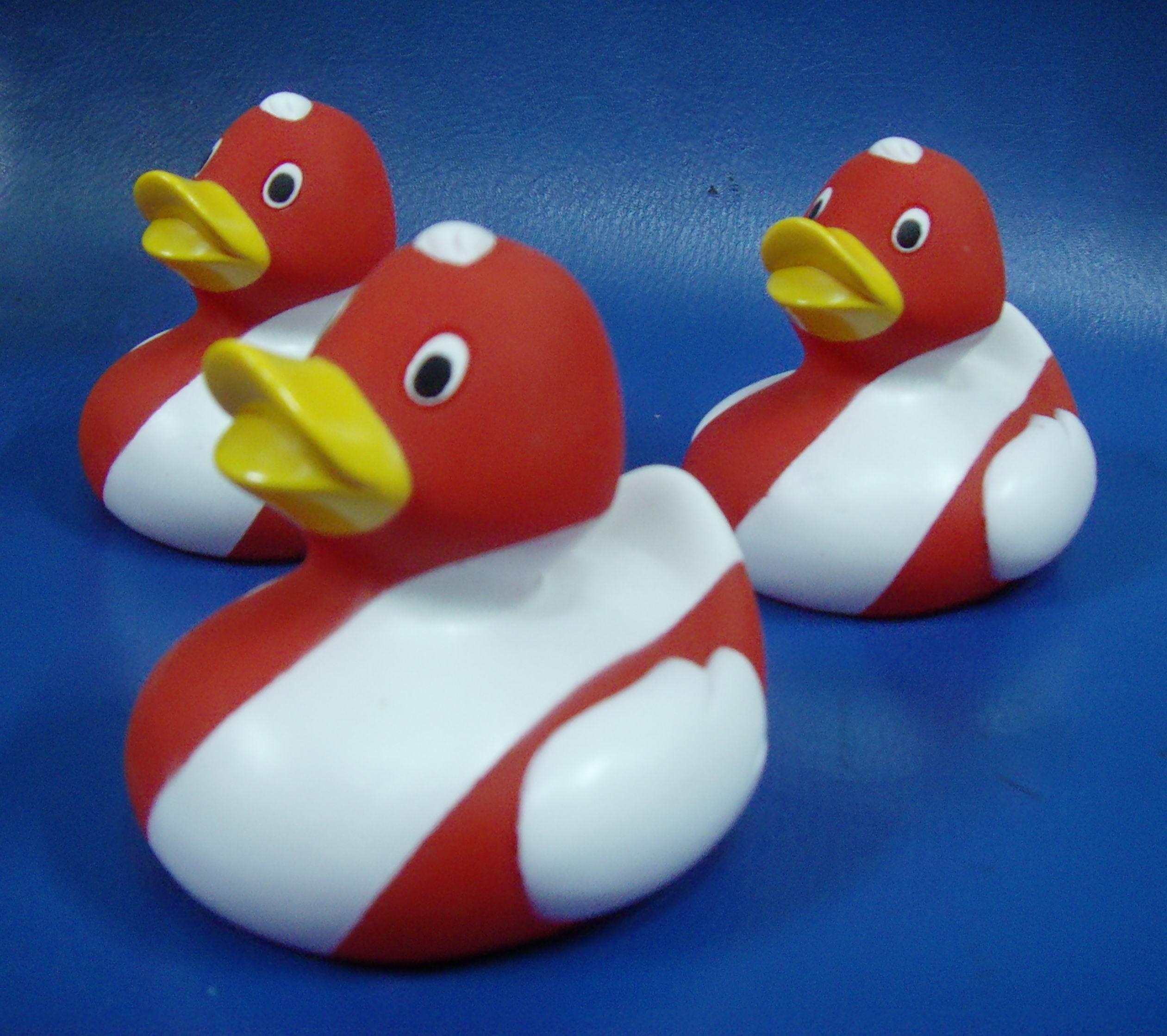 ensign duck